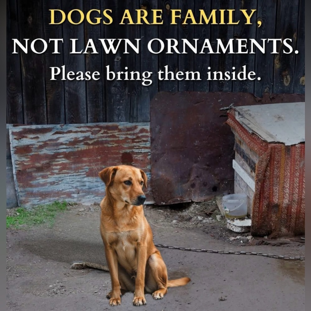 ⛓️‍💥 🐕 BREAK THE CHAINS! 🐕‍🦺 ⛓️‍💥
‼️NOT FOR SALE‼️
